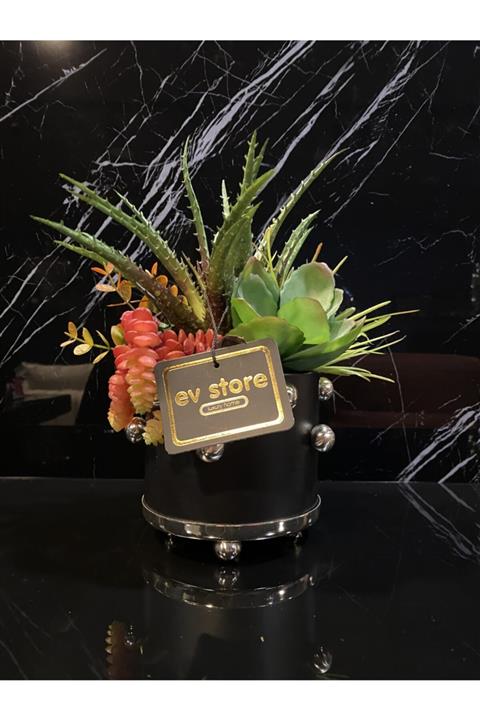 EVSTORE Siyah Zeminli Metal Gümüş Detaylı Saksı Arajman 27x19cm