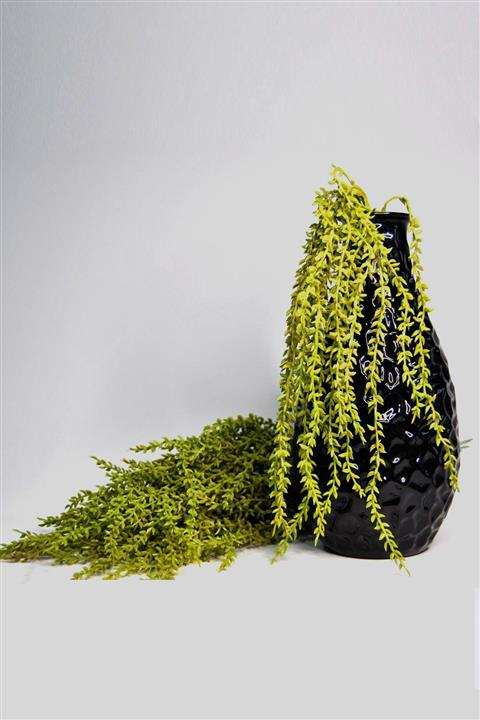 Lilac Home Yapay Çiçek Salkım Söğüt