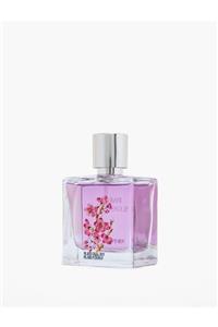 Koton Pink Blossom  50ml Kadın Parfüm 8682659716635