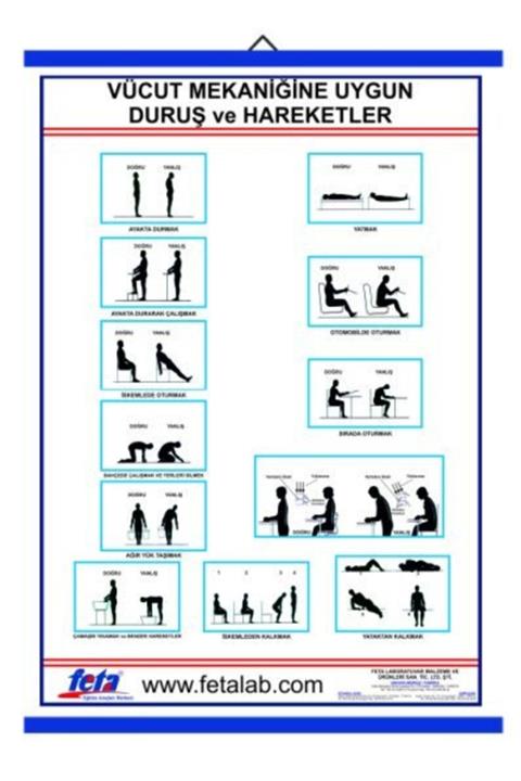 Edulab Vücut Mekaniğinin Doğru Kullanılması Ile Ilgili Poster