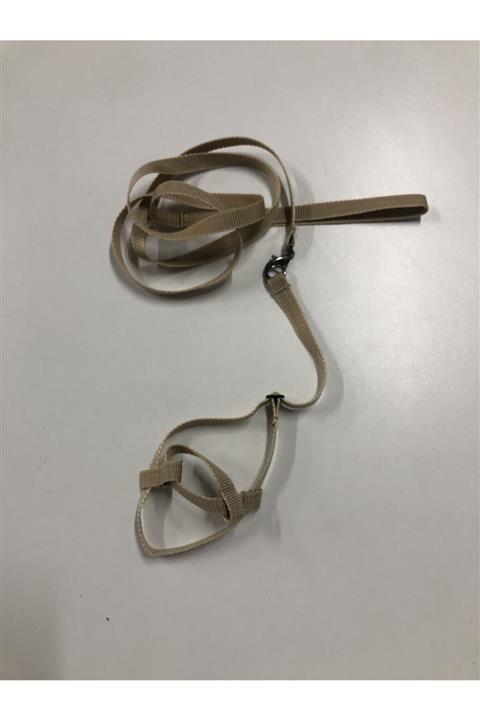 CCA Muhabbet Kuşu Tasması Krem