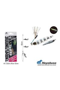 HAYABUSA Ex 450 Jıggıng Sabıkı Long Cast Set 60 Gr No:2