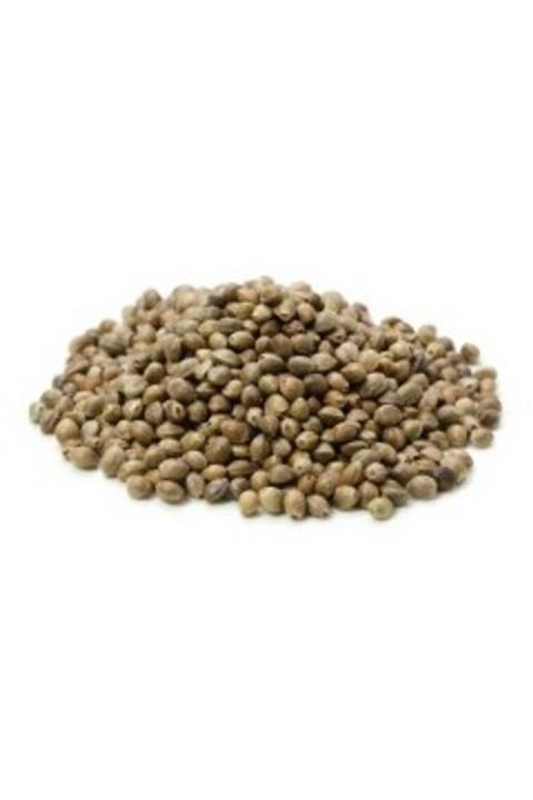 Badem Akvaryum Kuşlar Için Kenevir Tohumu Cedene 500 Gr