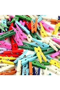 LAUREL DREAM 50'li Renkli Ahşap Mandal 3.5cm (10'lu Paket-500 Adet)