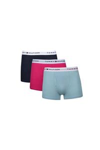 Tommy Hilfiger Tommy Hılfıger Erkek 3 Lü Boxer 09tq002-446