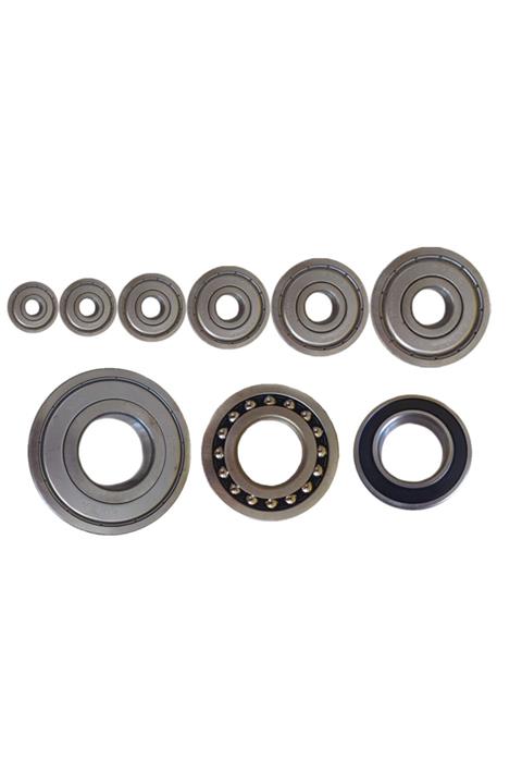 Rotasel Rulman 629