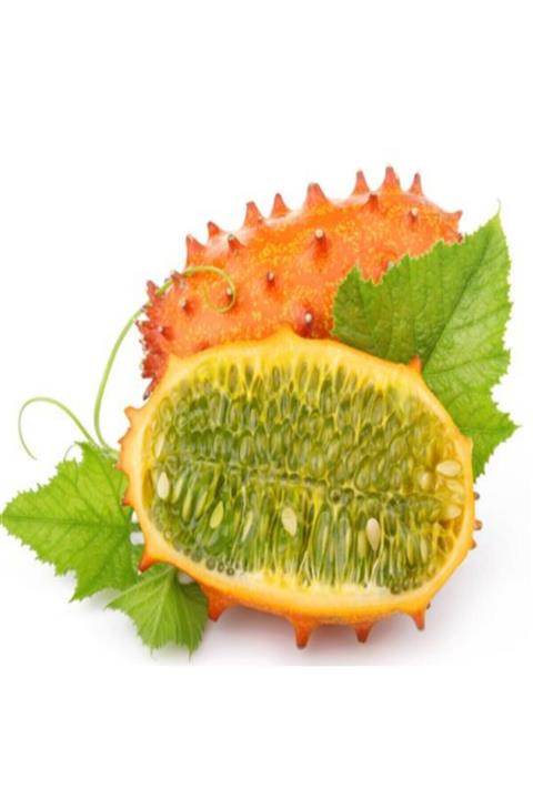 RAÇAM BOTANİK 5 Adet Tropikal Kiwano Meyvesi Tohumu