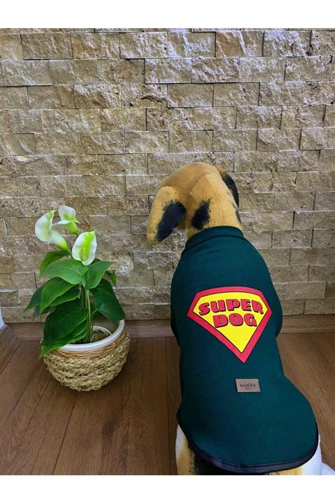 Buddy Store Kedi Köpek Kıyafeti & Elbisesi Uzun Kollu Model Yeşil Superdog (kaşkorse)