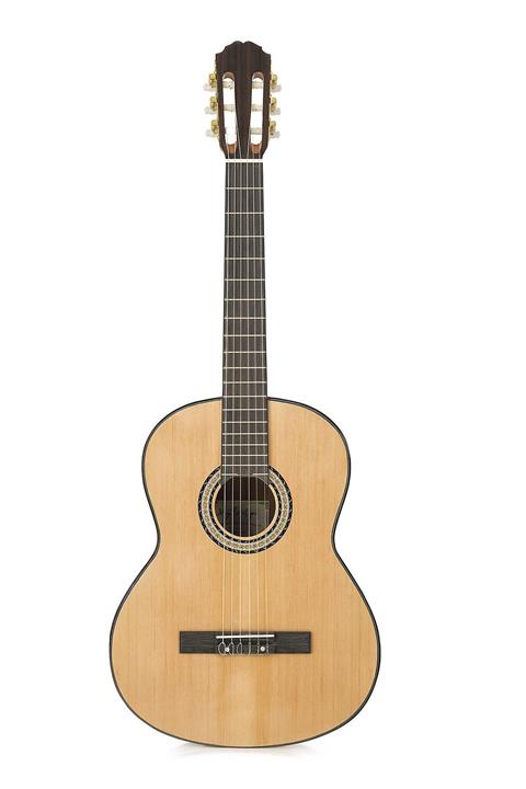 Miguel Artegas Mıguel Artegas Klasik Gitar Pro