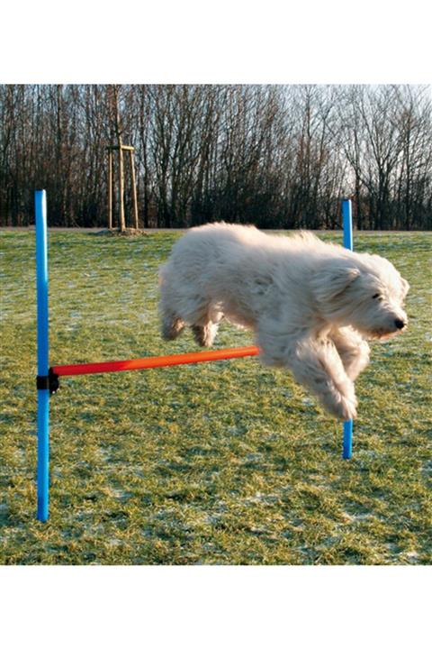 Trixie Köpek Agility Eğitim Engeli  129 cm x 115 cm x 3 cm