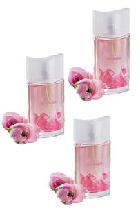 AVON Soft Musk Kadın Parfüm Edt 50 Ml 3lü Set