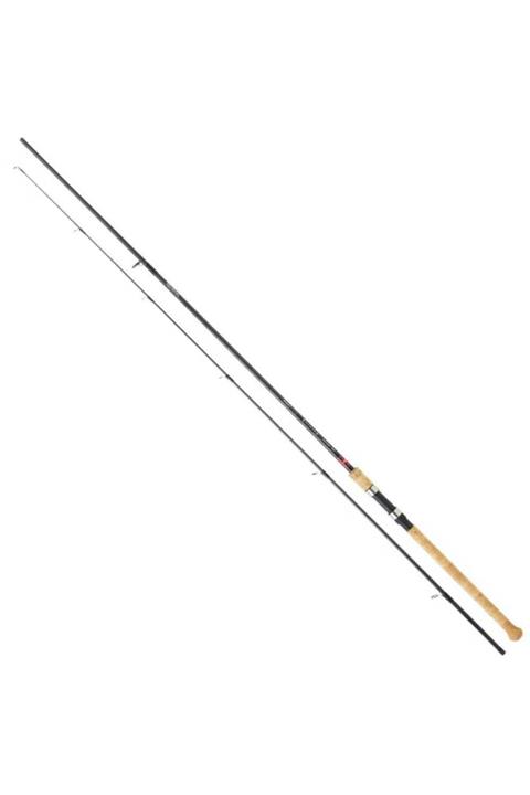 DAIWA Team Daiwa Deat Bait 2,90m 20-60gr Kamış