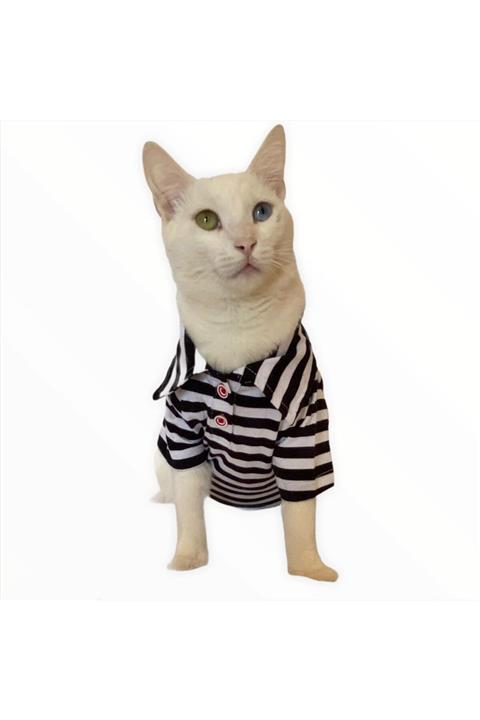 Kemique Siyah Beyaz Çizgili Polo Yaka Tişört Kedi Kıyafeti Kedi Elbisesi