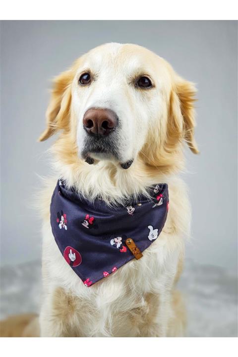 Zegypet Mickey&minnie Köpek Bandana