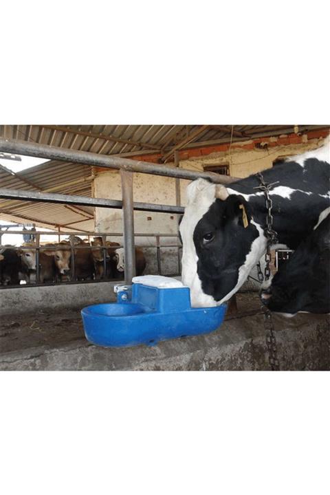 ERİNOX Inek Suluğu Ikili