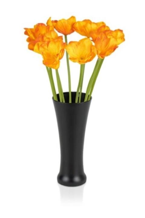 Lapidaria Dekoratif Siyah Cam Vazo 2'li