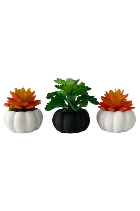 Hediye Vitrini Sukulent Kabak Saksı Lı Yapay Yeşil Dikenli Ve Güneş Sukulent Masa Üzeri Dekoratif 1.kalite 12cm