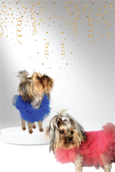 PuppyDoggy Pembe Lüks Köpek Elbisesi Parti Kızı Özel Modeli