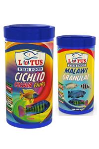 Lotus Cichlid Colour 1000 Ml + Malawi Granulat 250 Ml Balık Yemi