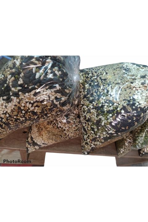 hanımelipetstore Kuşlar İçin 14 Çeşit Tohum  Filizlendirmelik