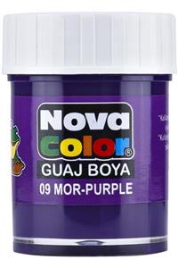 Nova Guaj Boya Mor Şişe Nc-111