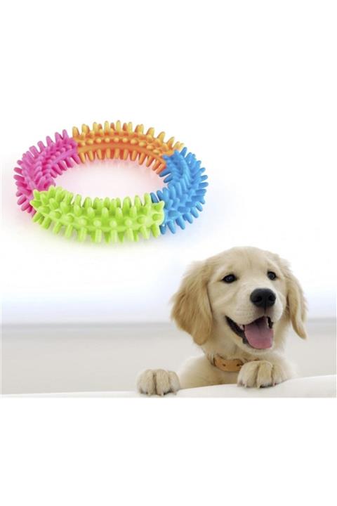 tamithalat Köpek Diş Temizleyici Ve Kaşıyıcı Sağlıklı Eğlenceli Oyuncak