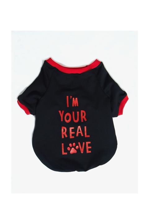 Ponchic Baskılı Sıfır Yaka Köpek/kedi Sweatshirtü 4xl Beden