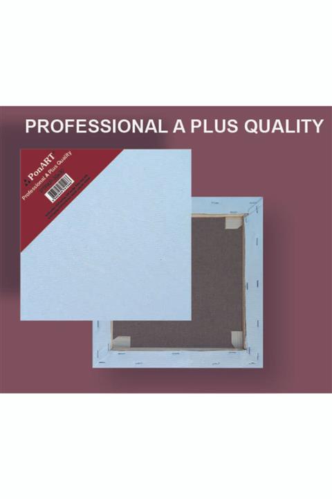 Ponart 50x60cm Profesyonel A Plus Tuval