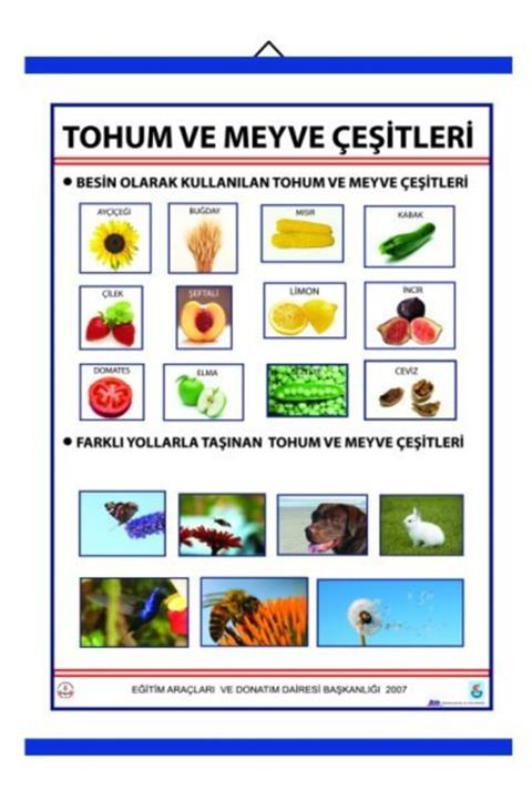 Edulab Tohum Ve Meyve Çeşitleri Levhası (70x100 Cm)