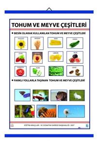 Edulab Tohum Ve Meyve Çeşitleri Levhası (70x100 Cm)