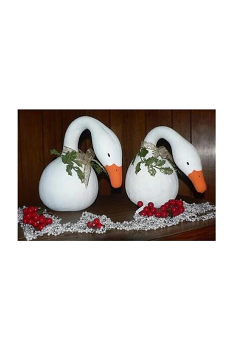 RAÇAM BOTANİK Nadir Ithal Kuğu 3 Adet Kabak Tohumu