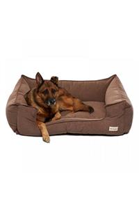 Pet Comfort Alpha Mirandus 20 Köpek Yatağı Xl 95x120cm