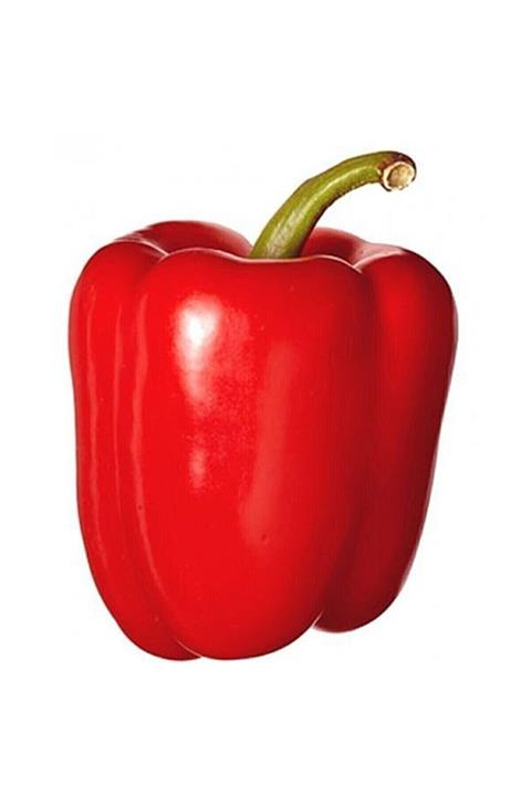 RAÇAM BOTANİK Büyük Kırmızı Dolmalık Biber Tohumu