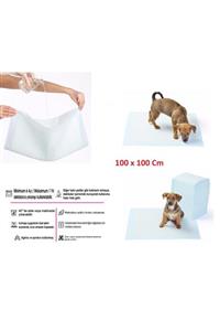 aksuticaret Yıkanabilir Köpek Çiş Pedi - 100 X 100 Cm