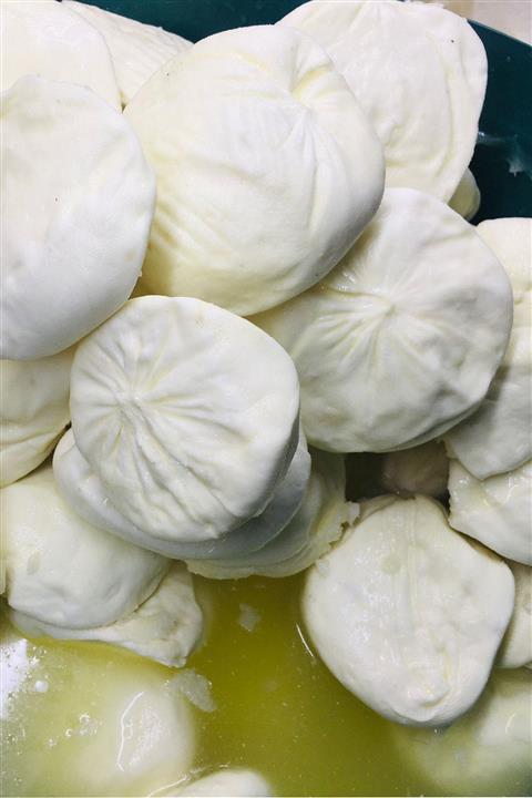 Zengi Baharat Şanlıurfa Organik El Ve Ev Yapımı Az Tuzlu Koyun Kuzu Başı Peynir 2 Kg