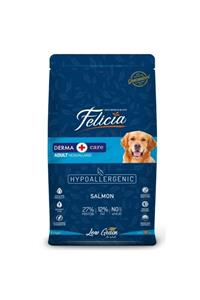 Felicia Derma Care Orta Büyük Irk Köpek Mamasısomon'lu3kg