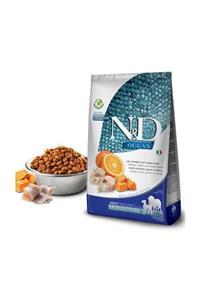 N&D Balkabaklı Morina Balıklı Medium Maxi Tahılsız Köpek Maması - 2,5 kg