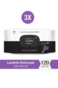 Deep Fresh Kolonyalı Islak Mendil Lavanta 3 X 40 Yaprak