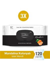 Deep Fresh Kolonyalı Islak Mendil Mandalina 3 X 40 Yaprak