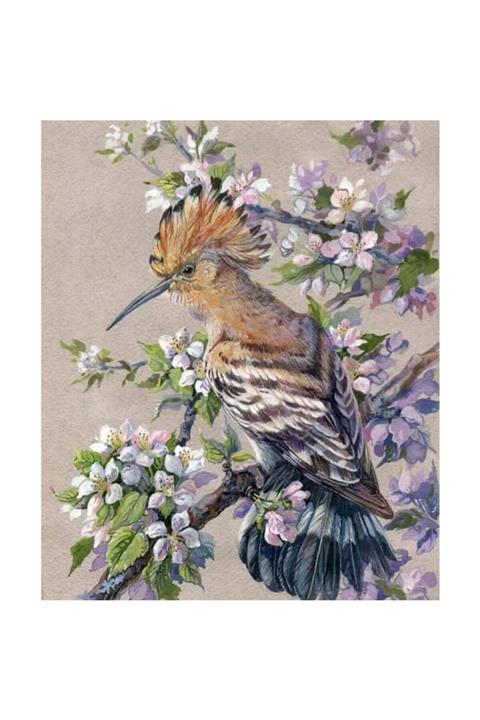 LİLYHOBBYLAND Sayılarla Boyama 50x65 Cm (çerçeveli ) Tuval: Bahar Ve Kuş
