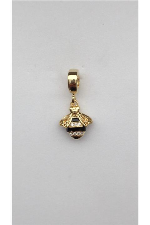 CHARM TO CHARM Model Arı Charm