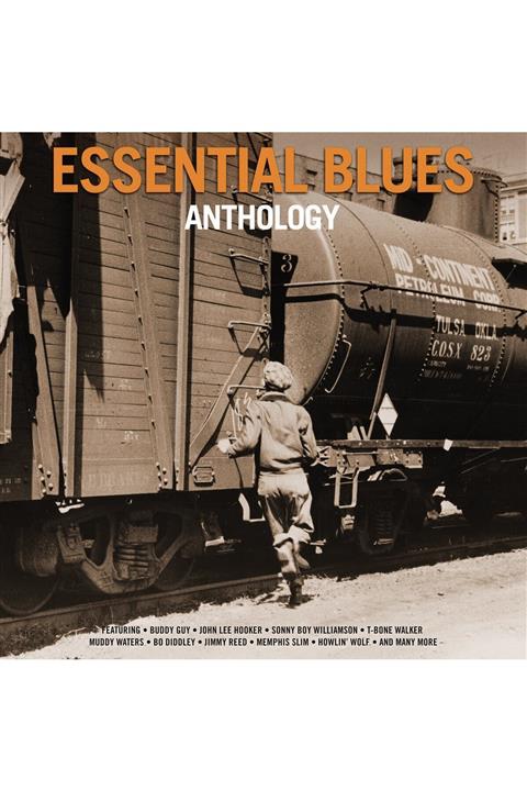 Pal Yabancı Plak - Varıous - Essential Blues Anthology  (2 Lp Gatefold)