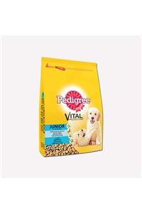 Pedigree Tavuk Ve Pirinçli Kuru Yavru Köpek Maması 3 Kg