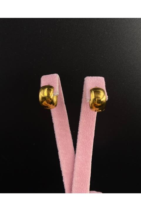 FJ FALLON JEWELRY Çelik Altın Rengi Kalın Halka Küpe