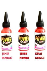 POWER POINT Kalıcı Makyaj Boyası Dudak Rengi Seti 3 Farklı Renk - Usa 25 Ml - Kampanya Fiyatı