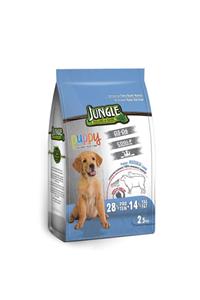 Jungle Yavru Puppy Kuzu Etli Köpek Maması 2.5 Kg Skt:04/23