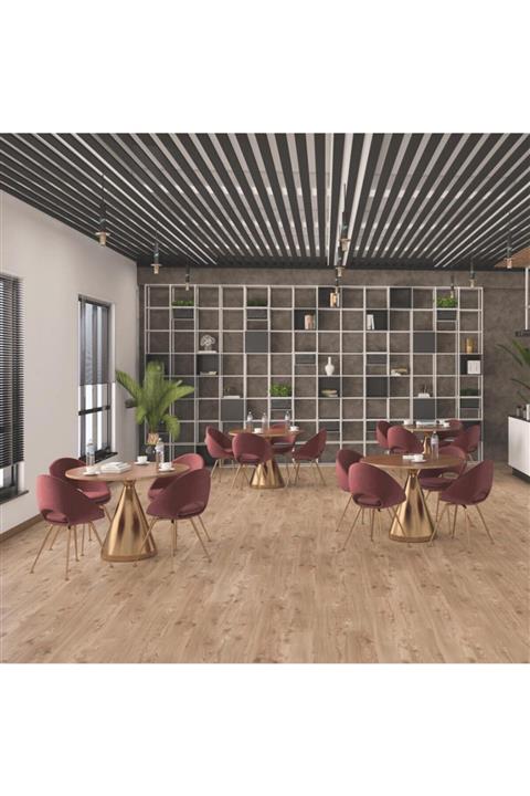 Artfloor Sun Gold Çam 8mm Laminant Parke - K