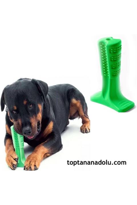 Trend Ticaret Köpek Diş Fırçası Isırma Aparatı Büyük Boy