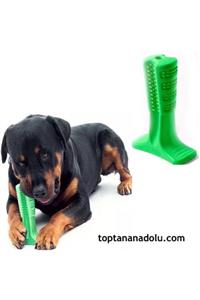 Trend Ticaret Köpek Diş Fırçası Isırma Aparatı Büyük Boy