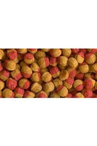 Tetra Cichlid Colour Mini Granules 100 gram